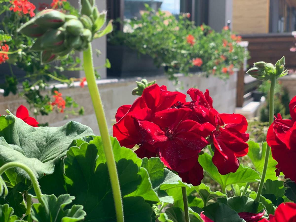 Garden Apart Предял Екстер'єр фото